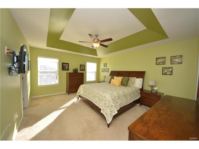422 Spring Trce, O'fallon, MO 63368 photo 11