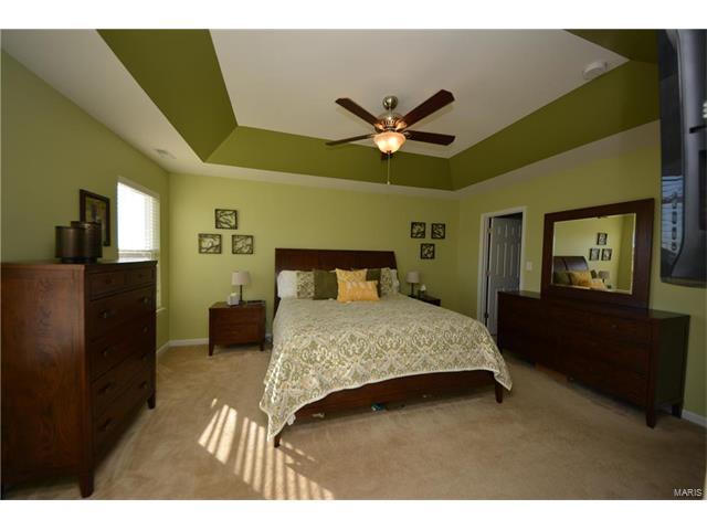 422 Spring Trce, O'fallon, MO 63368 photo 14