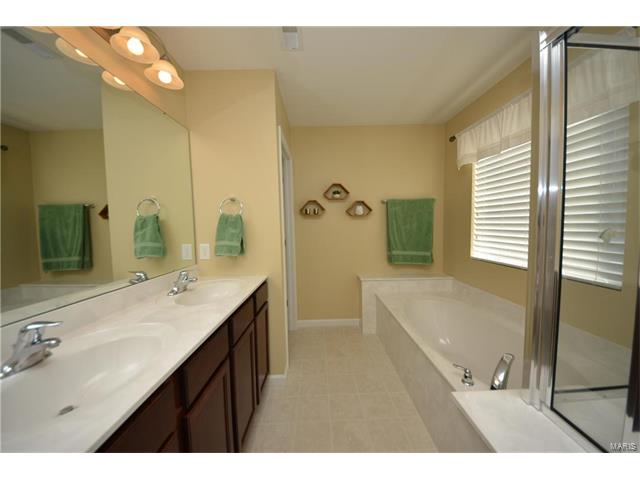 422 Spring Trce, O'fallon, MO 63368 photo 13