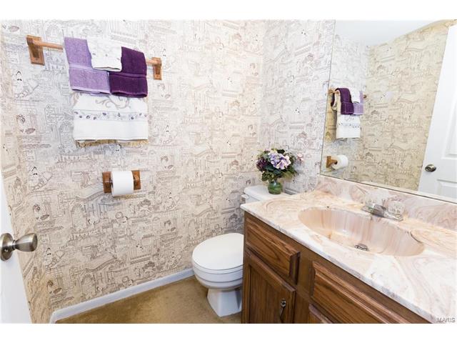 1443 Westbrooke Terrace Dr, Ballwin, MO 63021 photo 17