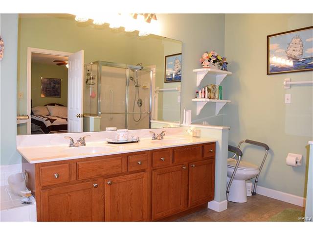 7188 Oak Stream Dr, O'fallon, MO 63368 photo 24