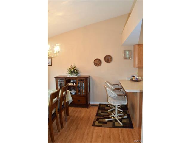 7188 Oak Stream Dr, O'fallon, MO 63368 photo 21