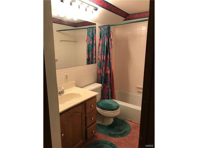 317 Croydon Ln, Ballwin, MO 63021 photo 18