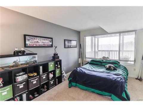 1826 Ridgeview Circle Dr, Ballwin, MO 63021 photo 53