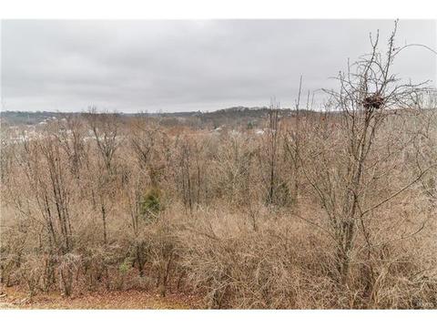 1826 Ridgeview Circle Dr, Ballwin, MO 63021 photo 57