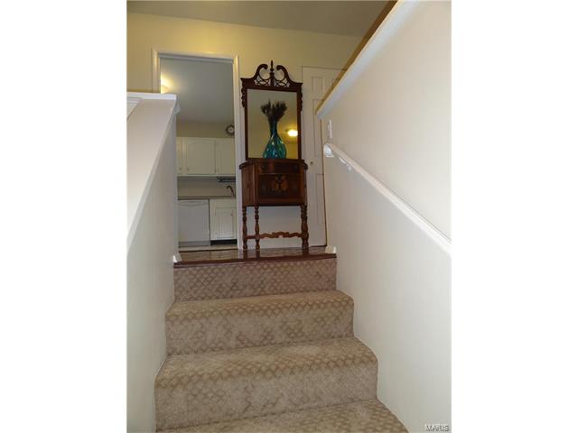 975 Silversprings Ln, Ballwin, MO 63021 photo 14