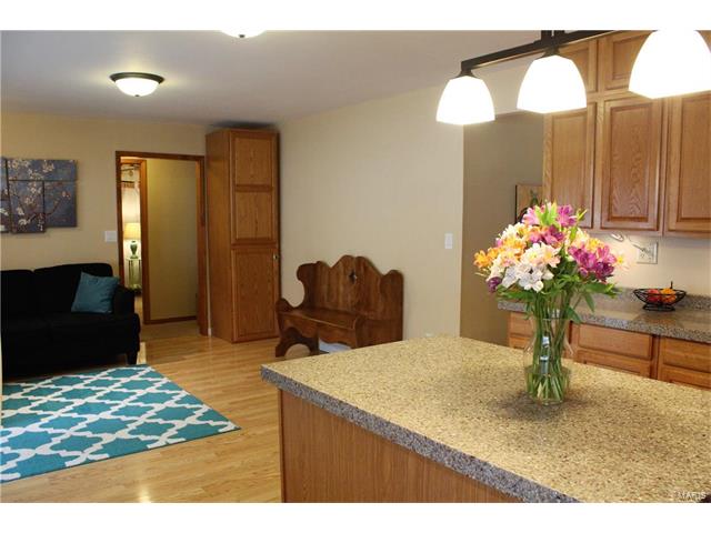 910 Parma Dr, Ballwin, MO 63021 photo 7