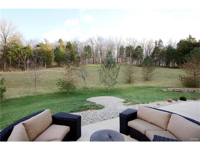 932 Summit Oaks Dr, Eureka, MO 63025 photo 24