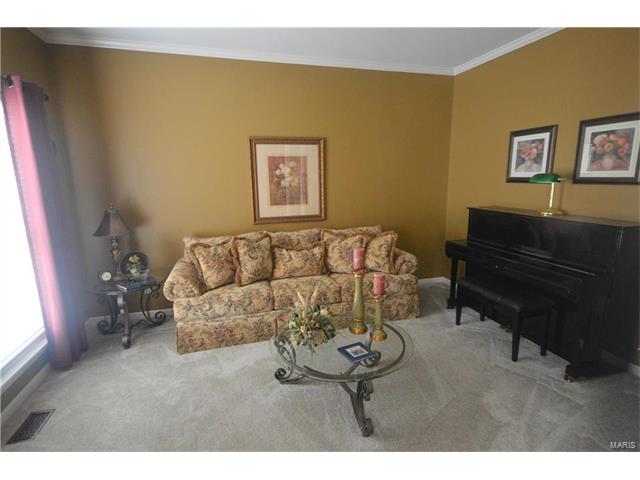 279 Jacob Ln, Ballwin, MO 63021 photo 25