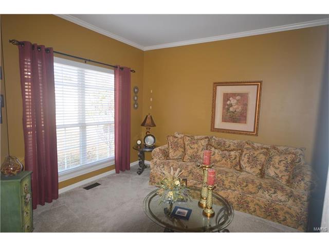 279 Jacob Ln, Ballwin, MO 63021 photo 26