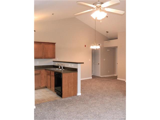 3301 Spring Crk, O'fallon, MO 63368 photo 5