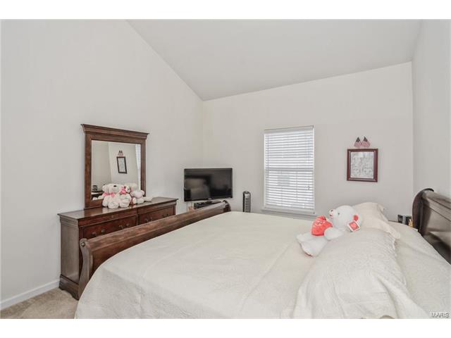 11301 Spring Crk, O'fallon, MO 63368 photo 22