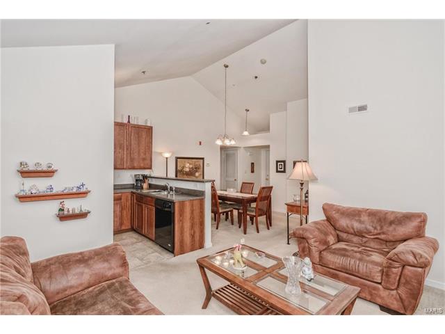 11301 Spring Crk, O'fallon, MO 63368 photo 17
