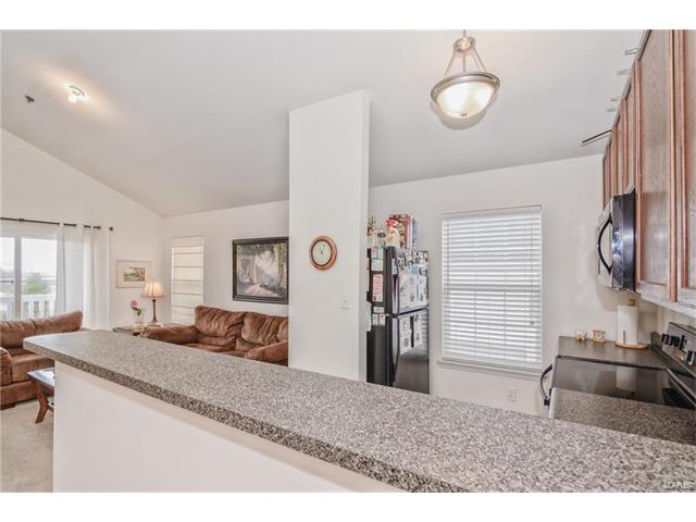 11301 Spring Crk, O'fallon, MO 63368 photo 11