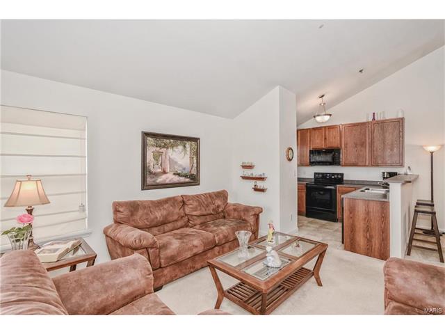 11301 Spring Crk, O'fallon, MO 63368 photo 16