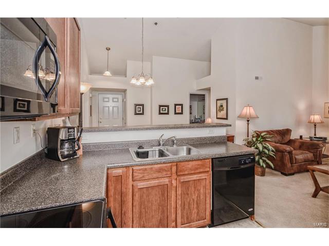 11301 Spring Crk, O'fallon, MO 63368 photo 12