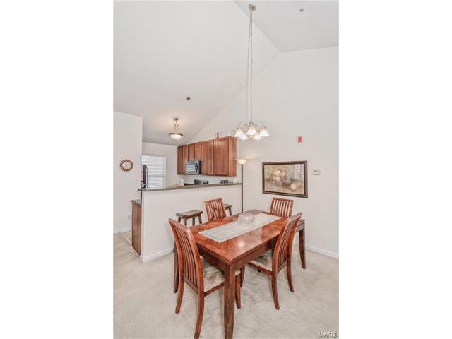 11301 Spring Crk, O'fallon, MO 63368 photo 19