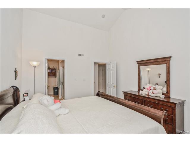 11301 Spring Crk, O'fallon, MO 63368 photo 23