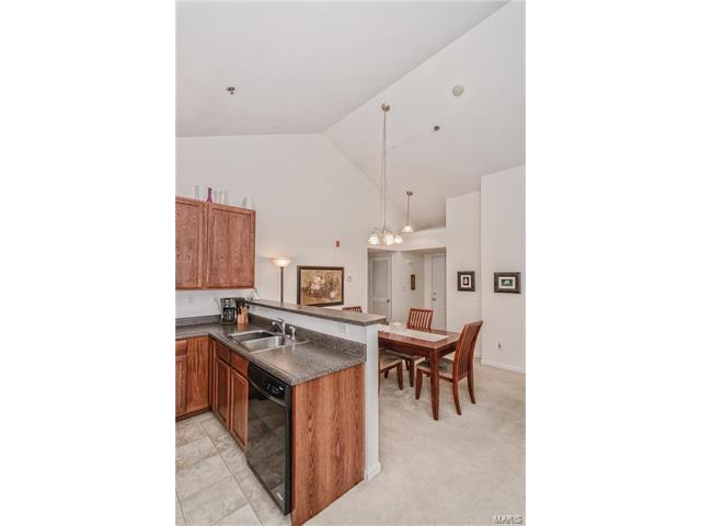 11301 Spring Crk, O'fallon, MO 63368 photo 18