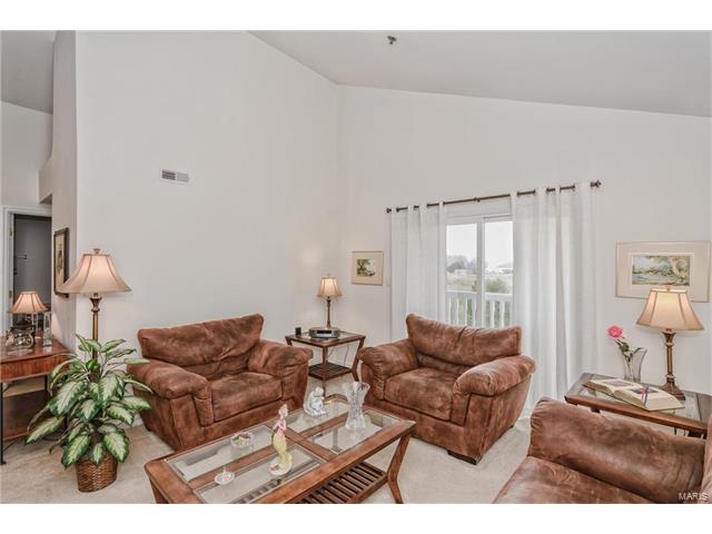 11301 Spring Crk, O'fallon, MO 63368 photo 14