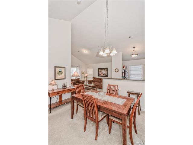 11301 Spring Crk, O'fallon, MO 63368 photo 20
