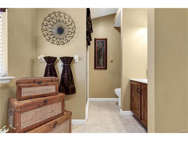 1315 Josh Dr, St Peters, MO 63366 photo 16