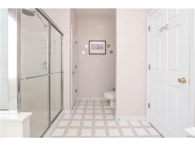 1218 Raintree Pass, O'fallon, MO 63366 photo 19