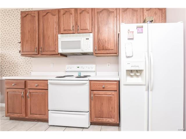 1218 Raintree Pass, O'fallon, MO 63366 photo 13