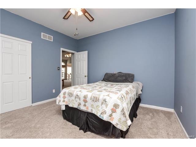 1218 Raintree Pass, O'fallon, MO 63366 photo 24