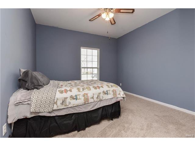 1218 Raintree Pass, O'fallon, MO 63366 photo 23