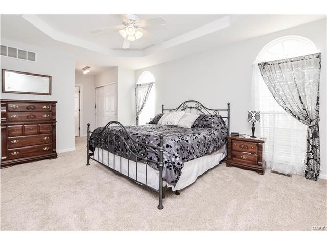 1218 Raintree Pass, O'fallon, MO 63366 photo 15