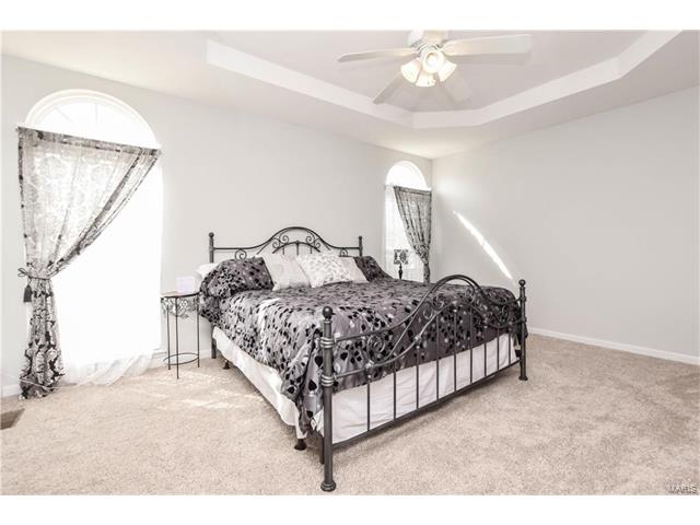 1218 Raintree Pass, O'fallon, MO 63366 photo 16