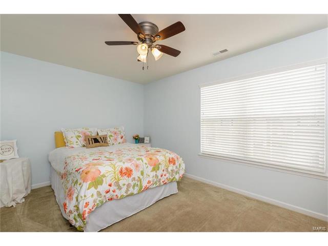 423 Spring Trce, O'fallon, MO 63368 photo 31