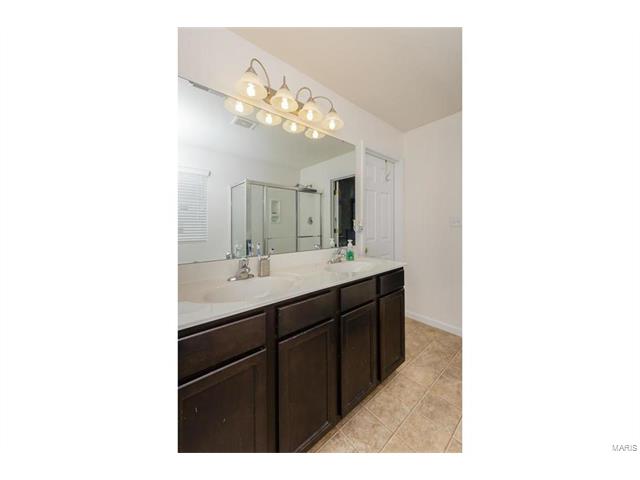 423 Spring Trce, O'fallon, MO 63368 photo 24