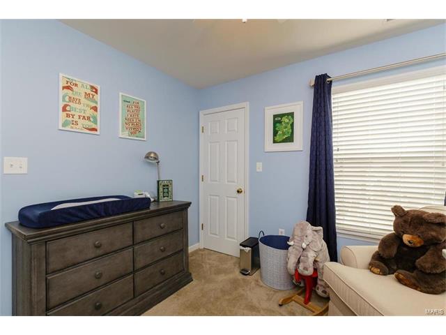 423 Spring Trce, O'fallon, MO 63368 photo 28