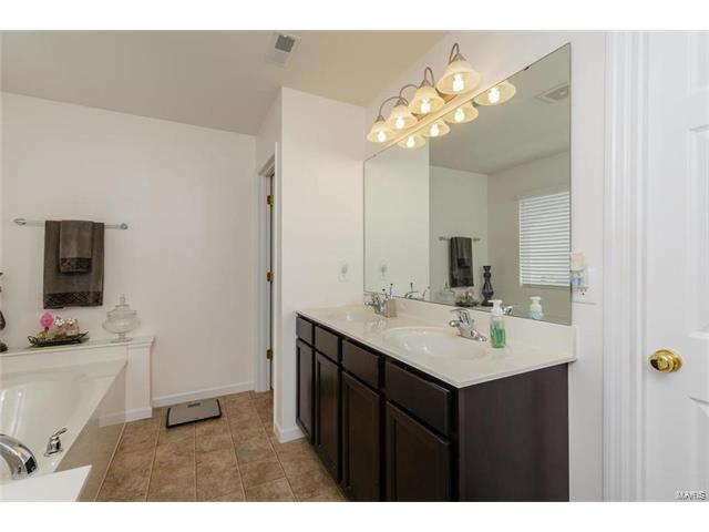 423 Spring Trce, O'fallon, MO 63368 photo 21