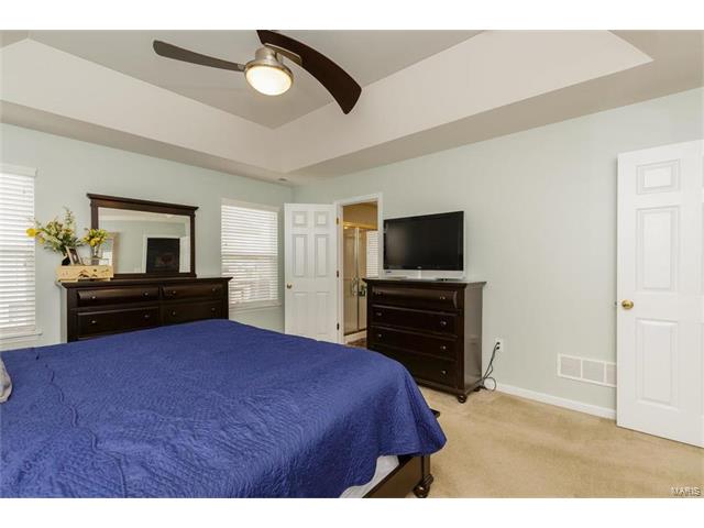 423 Spring Trce, O'fallon, MO 63368 photo 20