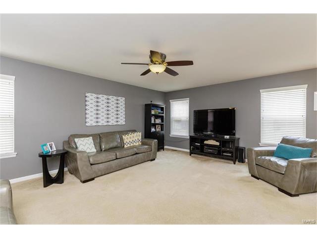 423 Spring Trce, O'fallon, MO 63368 photo 6