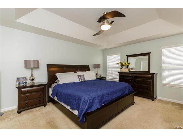 423 Spring Trce, O'fallon, MO 63368 photo 18