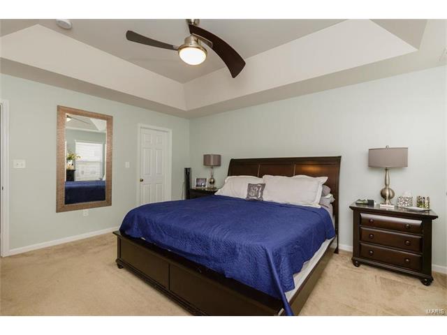 423 Spring Trce, O'fallon, MO 63368 photo 19