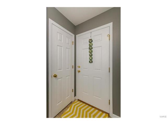 423 Spring Trce, O'fallon, MO 63368 photo 2