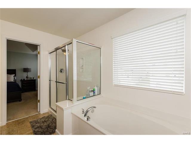 423 Spring Trce, O'fallon, MO 63368 photo 23