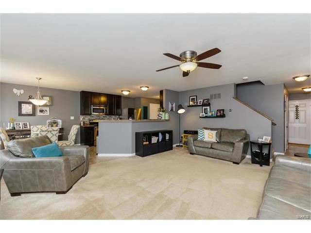 423 Spring Trce, O'fallon, MO 63368 photo 4