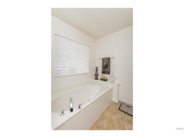 423 Spring Trce, O'fallon, MO 63368 photo 22