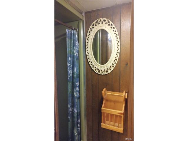 33 Elmtree Dr, O'fallon, MO 63366 photo 8
