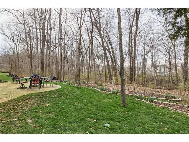 937 Summit Oaks, Eureka, MO 63025 photo 59
