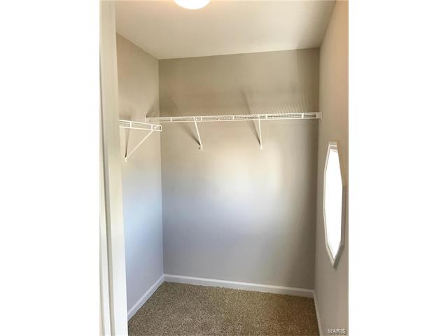 9 Black Cherry, O'fallon, MO 63368 photo 22