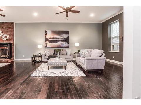 910 Morrison Ave, Saint Louis, MO 63104 photo 7