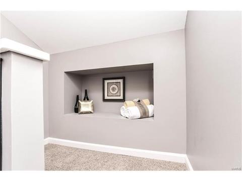 910 Morrison Ave, Saint Louis, MO 63104 photo 28