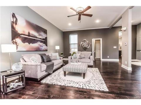 910 Morrison Ave, Saint Louis, MO 63104 photo 6